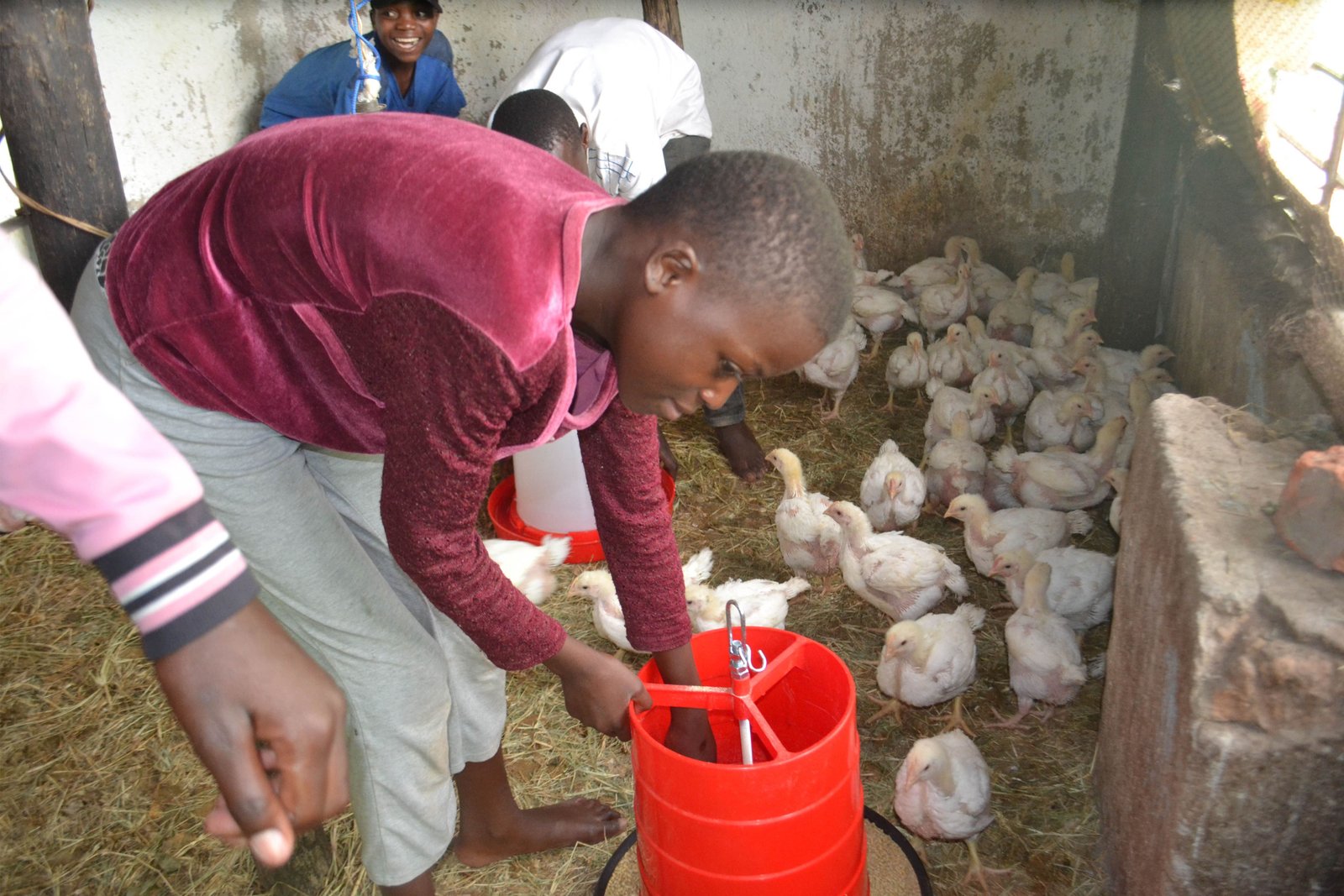 Skills development